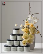 アクティバート】SC ファーストセラム - 株式会社フジシン